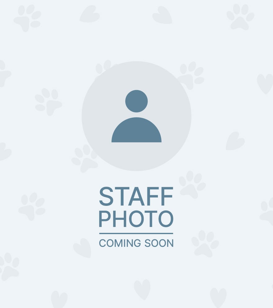 Lori Ann Harrison, Hospital Administrator